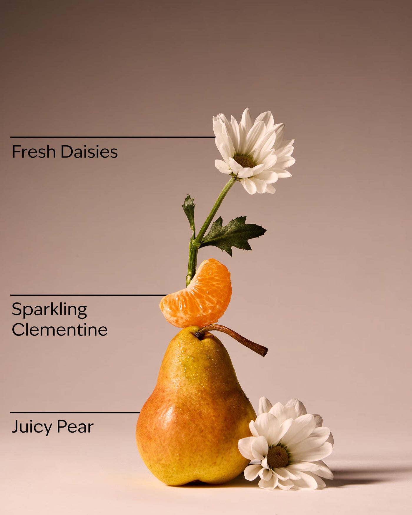Gingham Fresh Fine Fragrance Mist