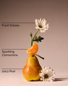 Gingham Fresh Fine Fragrance Mist