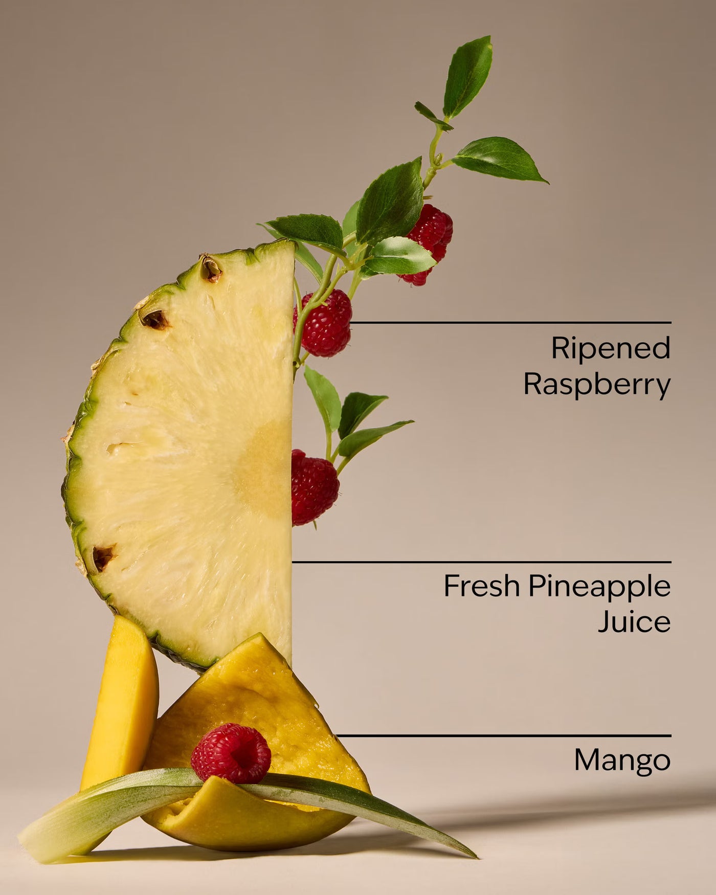 Pineapple Mango Wallflowers Fragrance Refill