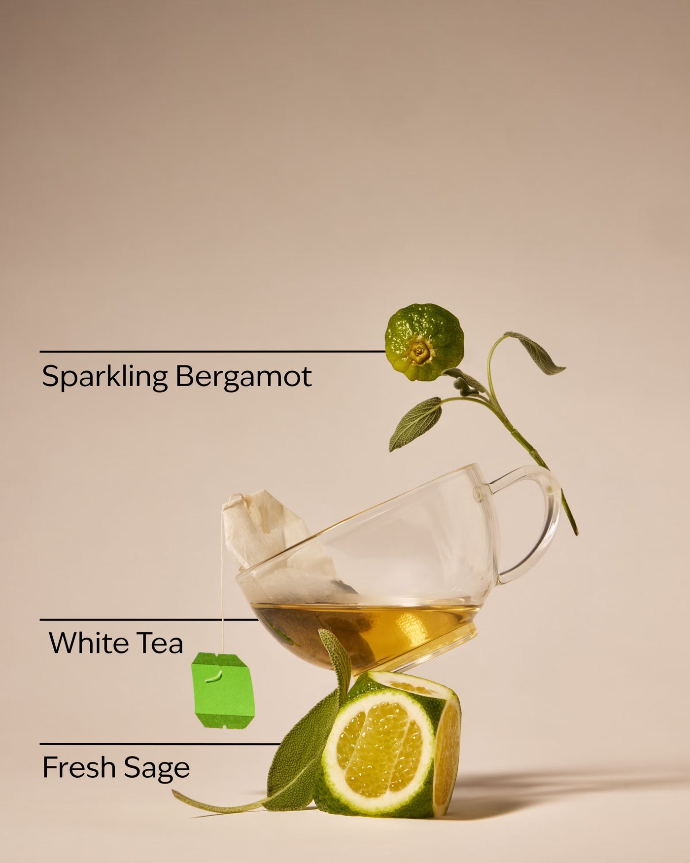White Tea & Sage PocketBac Hand Sanitizer