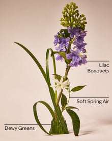 Fresh Cut Lilacs Car Fragrance Refill