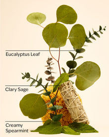 Eucalyptus Spearmint Car Fragrance Refill
