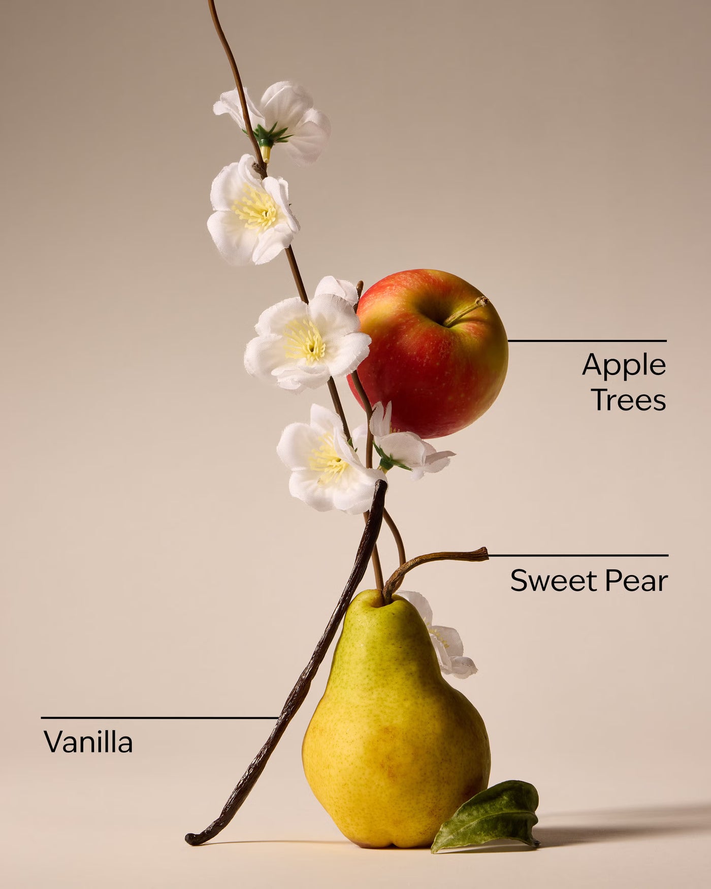 Spring Apple 3-Wick Candle