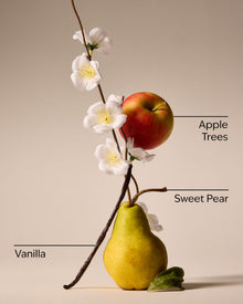 Spring Apple 3-Wick Candle