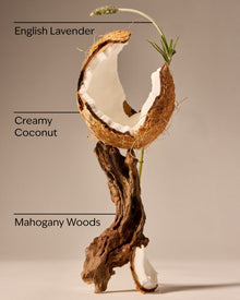 Mahogany Coconut Car Fragrance Refill