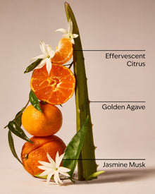 Sweet Orange & Agave 3-Wick Candle