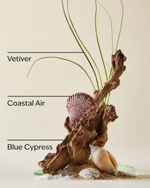 Ocean Car Fragrance Refill