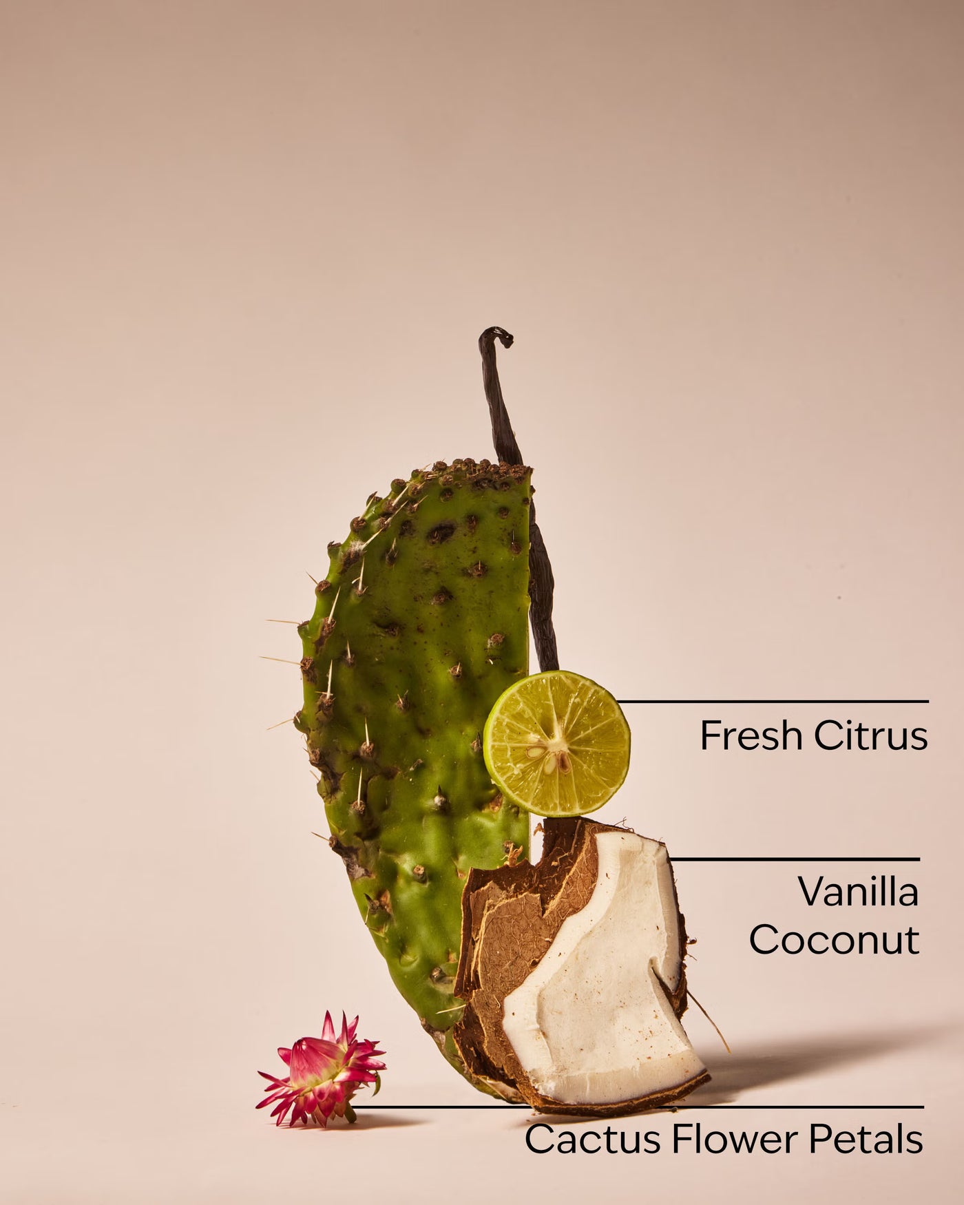Cactus Blossom Car Fragrance Refill