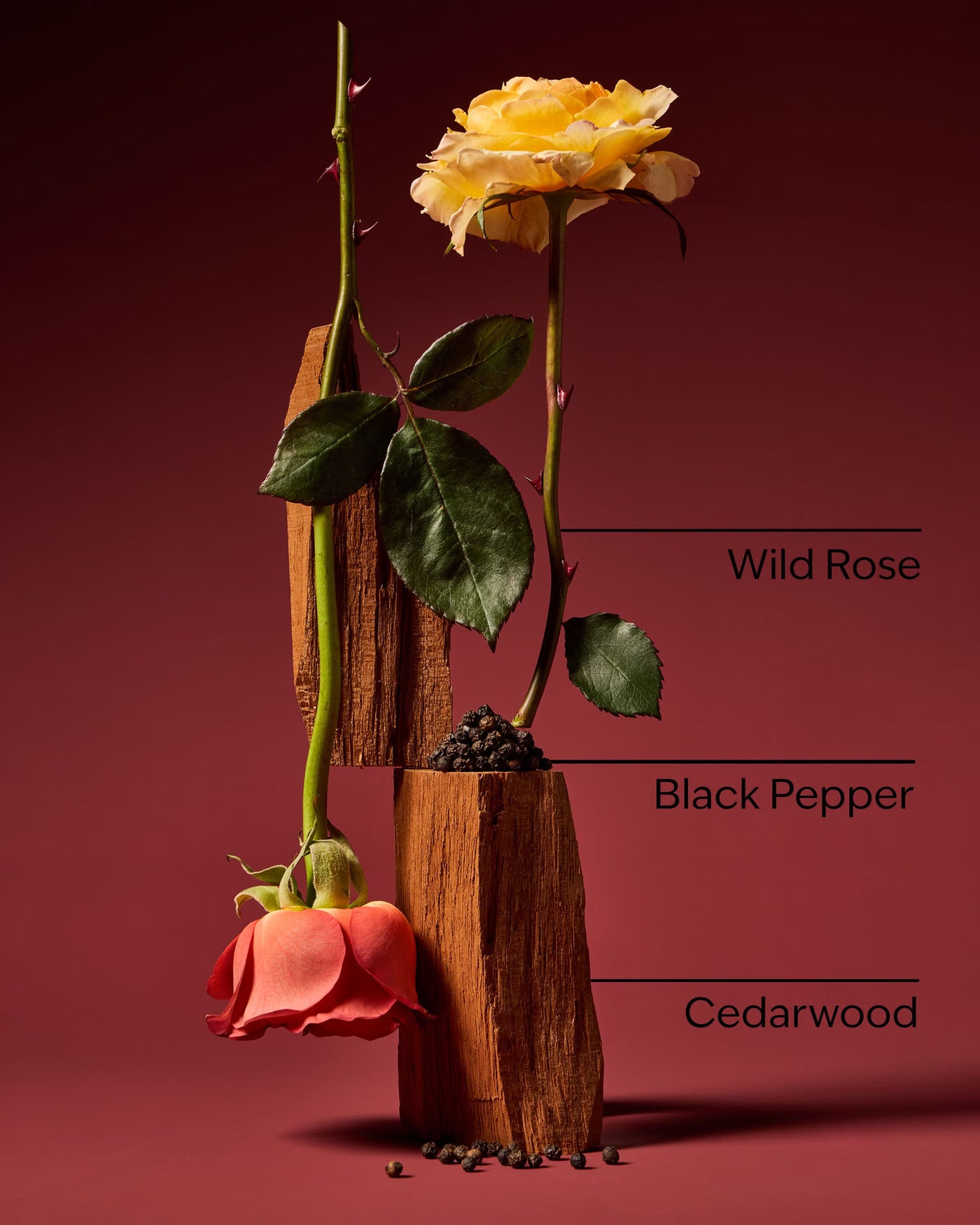 Nocturnal Rose 3-in-1 Hair, Face & Body Wash