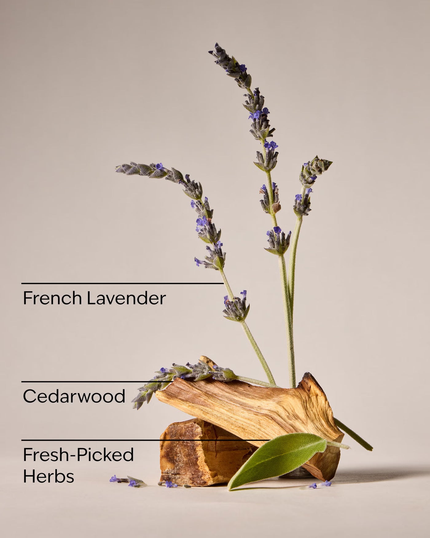 Kitchen Lavender Dish Wash