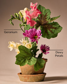 Springtime Greenhouse Gentle & Clean Foaming Hand Soap