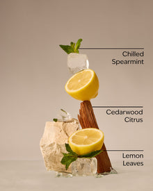 Fresh Amalfi Lemon Concentrated Room Spray