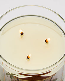 Coconut Piña Colada 3-Wick Candle